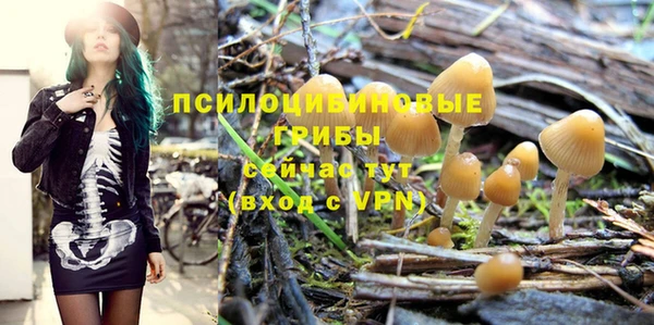 mdpv Балахна