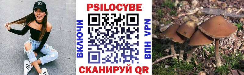 Псилоцибиновые грибы прущие грибы  даркнет Telegram  Козельск 